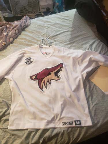 Arizona Coyotes Rookie Camp Jersey