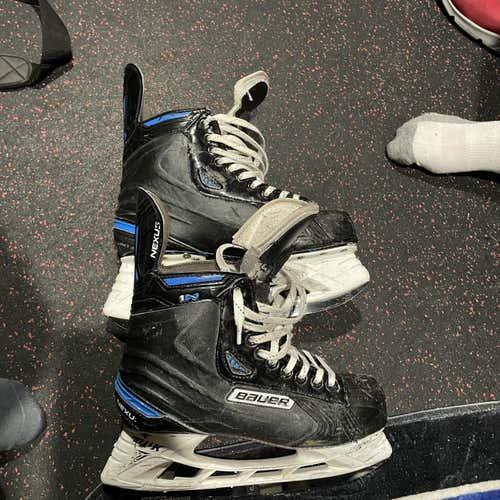 Senior Bauer Nexus 1N Regular Width Pro Stock Size 8 Hockey Skates