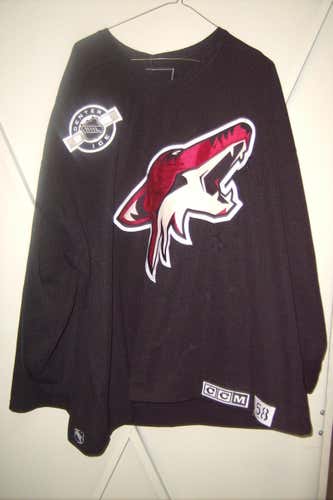 Phoenix Coyotes #32 Mikael Tellqvist worn size 58 goalie-cut black CCM practice jersey 2007-09 (LOA)