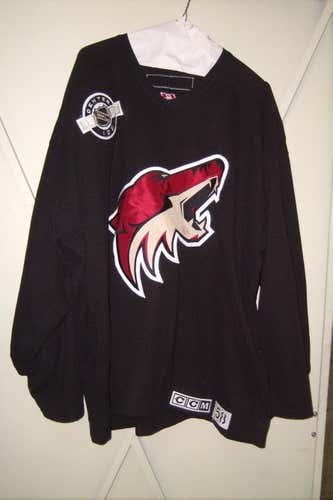 Phoenix Coyotes #42 Josh Tordjman worn size 58 goalie-cut black CCM practice jersey 2006-09 team LOA