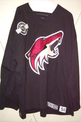 Phoenix Coyotes #35 Auld/Montoya/Domingue worn size 58 goalie-cut black CCM practice jersey team LOA