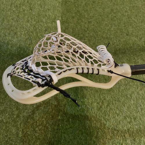 Used ECD Bone DNA Head