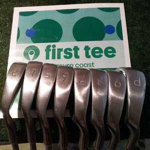 Mens Irons Set 3-PW Pete Bridges Cloner III Steel Shafts
