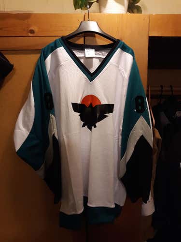 Hockey Jersey Size Large