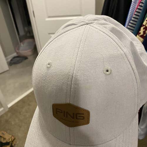 Gray Ping Hat *Worn Once*