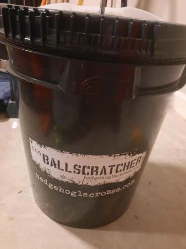 Used Hedgehog Ball Scratcher