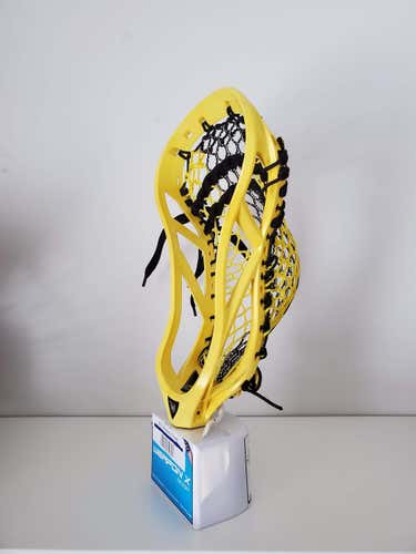 Gently Used ECD Weapon X Head