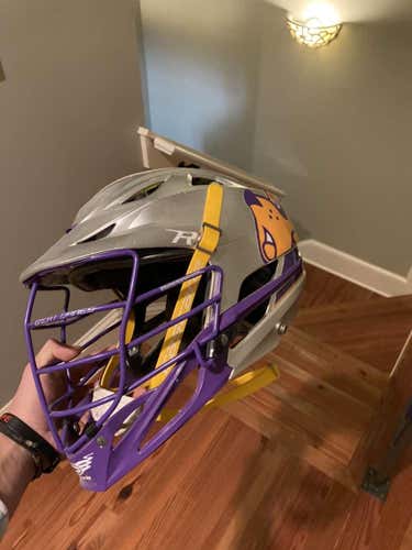 ALBANY GREAT DANES CASCADE R