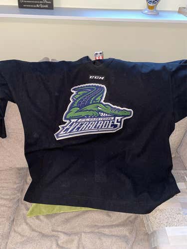 Florida Everblades Goalie Cut CCM Pro Stock Jersey