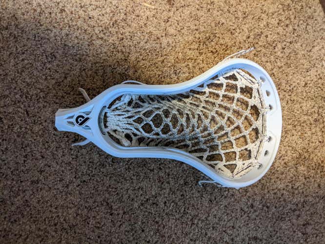 Used Powell Pioneer 2 Head