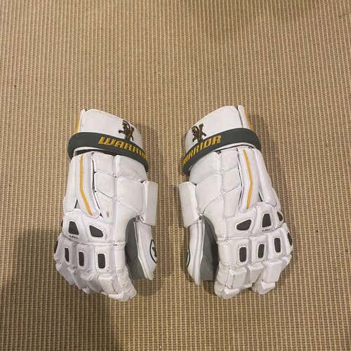 UVM (University Of Vermont) Team Issued Goalie Gloves