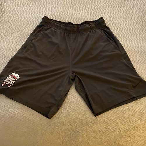 Gray Adult Medium/Large Nike Shorts