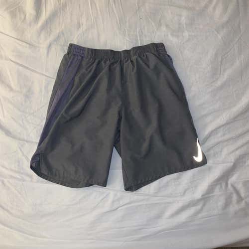 Gray Adult Medium Nike Shorts