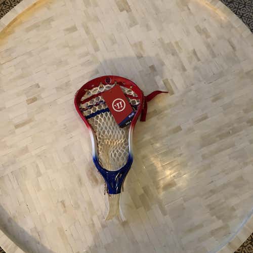 New Warrior Grateful Dead Evo 4 Head