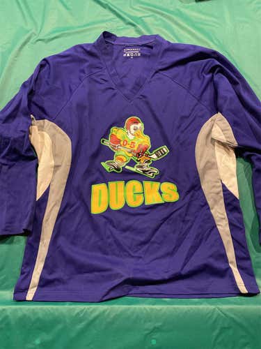 Purple Adult Large Other  Jersey