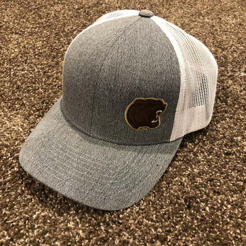 Hershey Bears Gray Unisex Used Adult One Size Fits All Other Hat