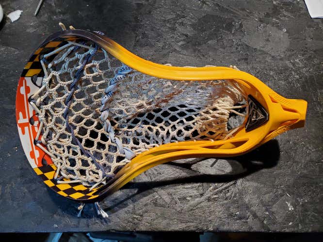 Maryland dye Brine Clutch X Head