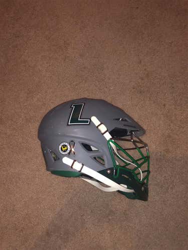 2013 Loyola Regulator II