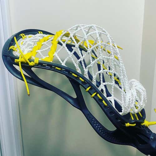 BN Stx Stallion Omega