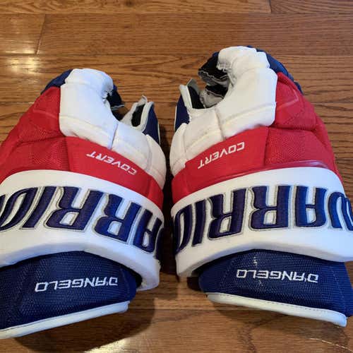 Blue Used Warrior 14" Pro Stock Gloves