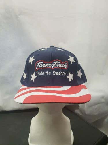 Vintage Farm Fresh American Flag Snapback Hat