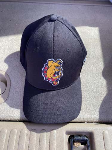 Ferris State Hockey Hat