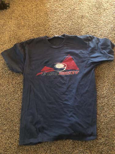 Gray ECAC Mens Hockey Championship Shirt