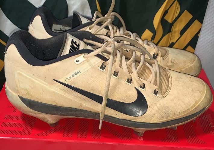 Nike Air Clipper Low 11.5 Metal