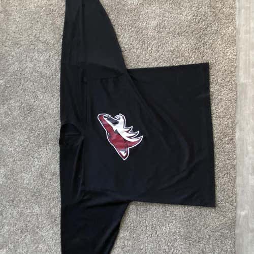 Used CCM Arizona Coyotes Goalie Cut Jersey