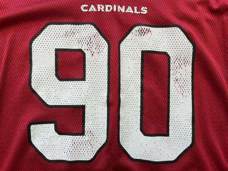 darnell dockett jersey