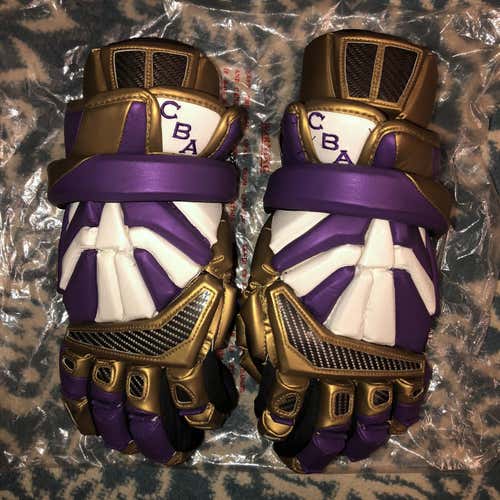 Custom Brine Mikey Powell Exodus II Gloves CBA Albany Syracuse