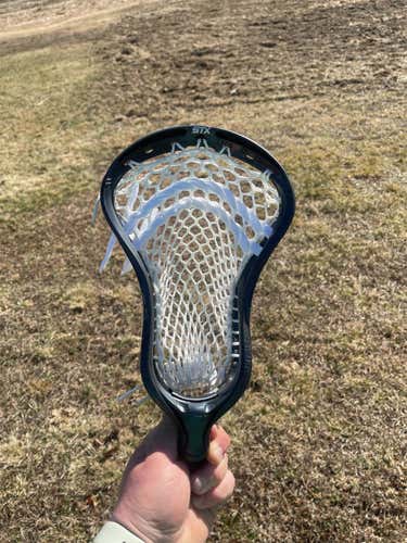 New Stallion Omega Head