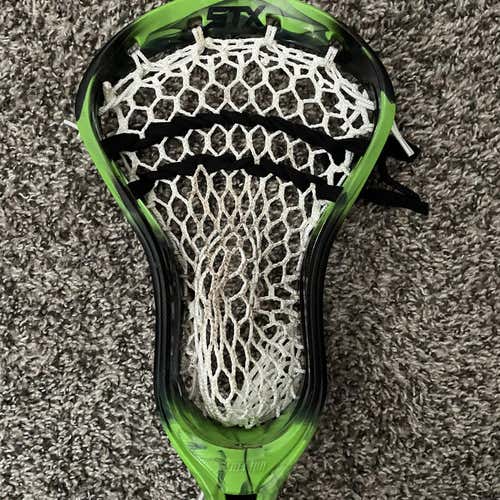 Black Used Attack & Midfield Strung Stallion Head
