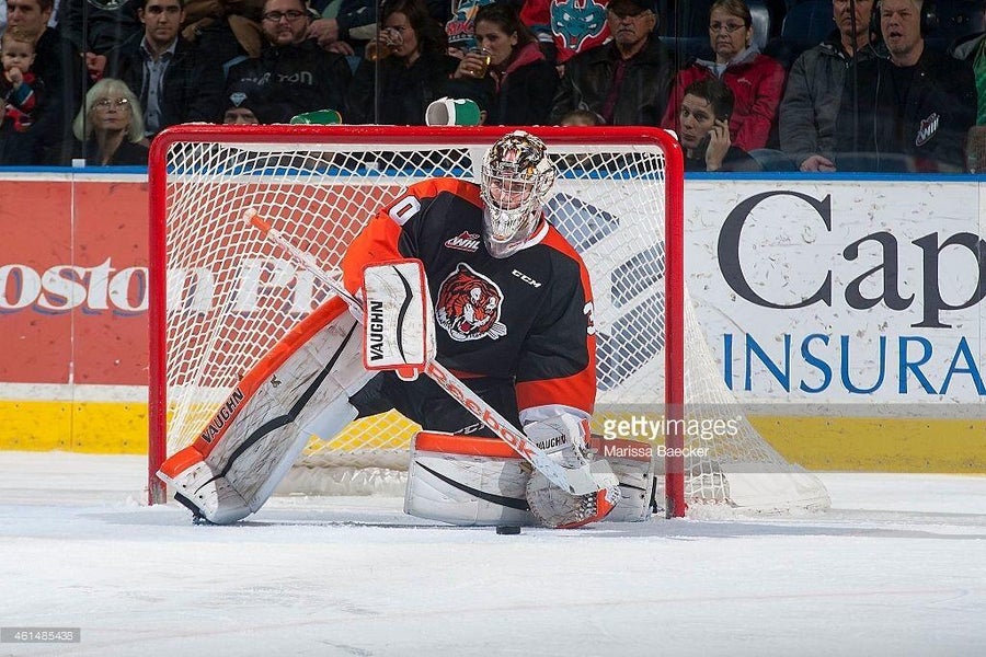 Arizona Coyotes goalie Darcy Kuemper game-used Vaughn Ventus leg pads from  2018-19 season (27 wins) | SidelineSwap