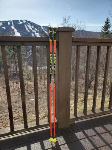 Used 46in (115cm) Leki Racing World Cup - GS Ski Poles
