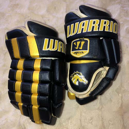 **RARE** Blue & Gold Warrior MIA Franchise Gloves 13"