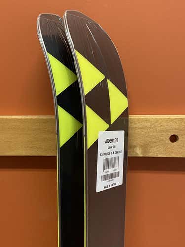 Fischer 2020 RC4 World Cup GS Junior Race Skis: 170cm Length: R>20m: Plates Mounted