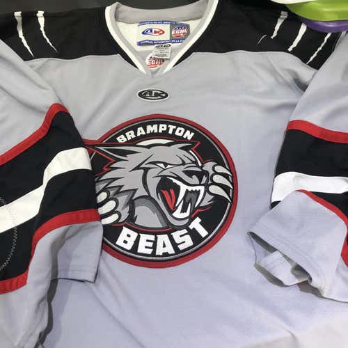 ECHL Brampton Beast Goalie Cut Pro Stock Jersey