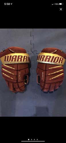 Used Warrior 14" Gloves