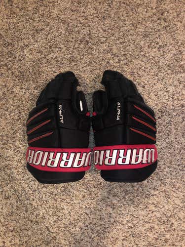 Warrior Alpha QX3 15" Gloves