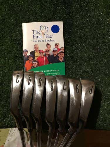 Titleist DCI Oversize + Irons Set (3-PW, No 8 Iron) Stiff Steel Shafts