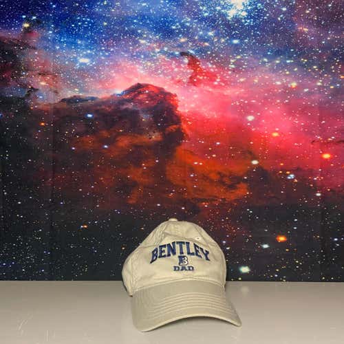 Bentley University Hat
