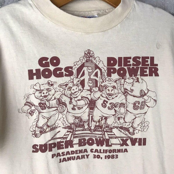 Washington Redskins Vintage Rare T-Shirt Lot (18) Hogs Riggo Fun Bunch  Posse +