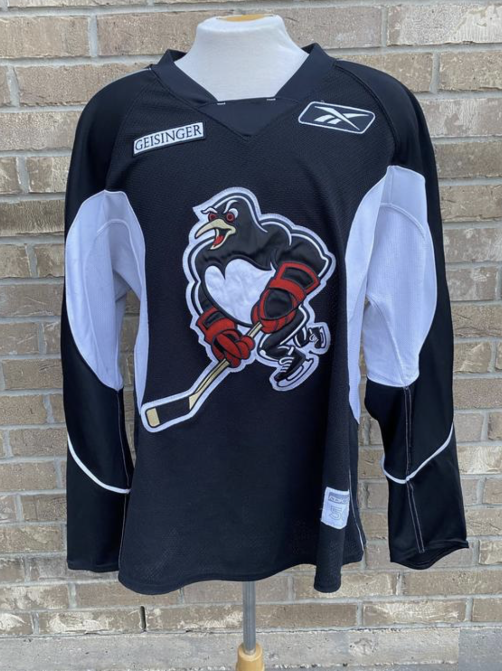 Wilkes-Barre/Scranton was having a jersey design contest for a new