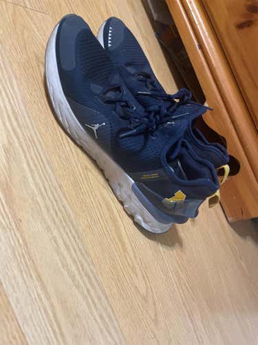 MICHIGAN TEAM ISSUE Blue Men's Size 11 (Women's 12) Air Jordan