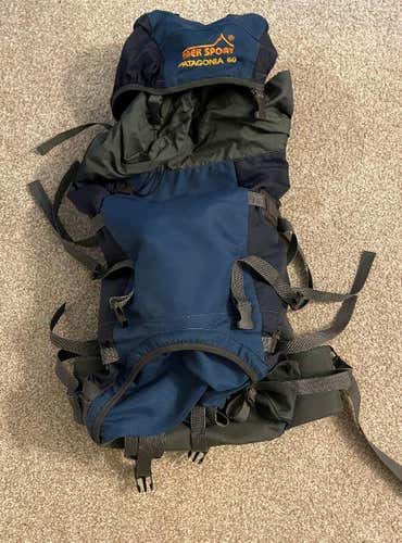 Used Patagonia Backpack