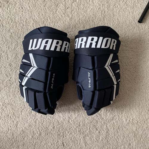 Blue Senior Warrior Alpha DX5 14"  Gloves