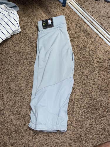 Gray Adult Large Nike Pants