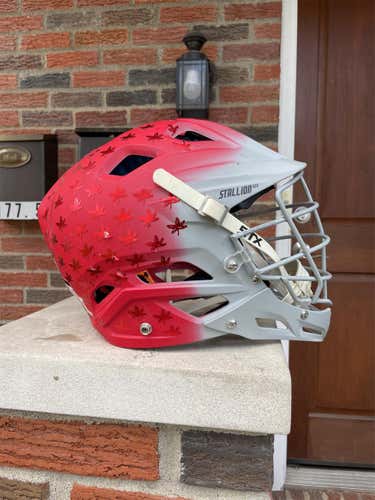 Ohio State Natl Championship Season Helmet