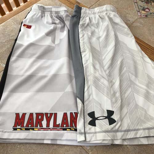 Men’s Large Athletic Shorts - 2 Pairs